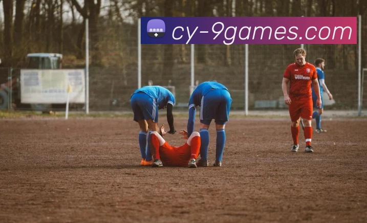 九游体育官网平台生态图